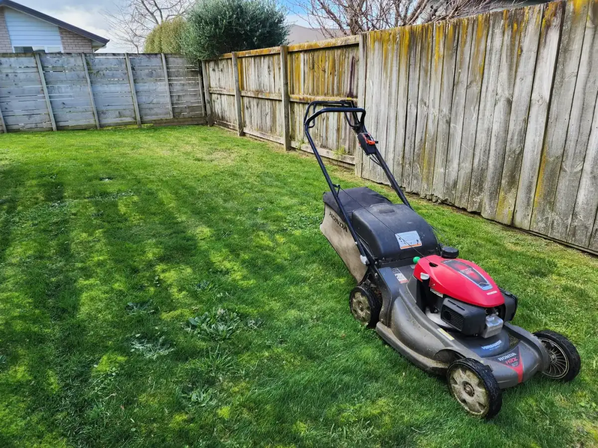Mower on a freshly striped backyard lawn