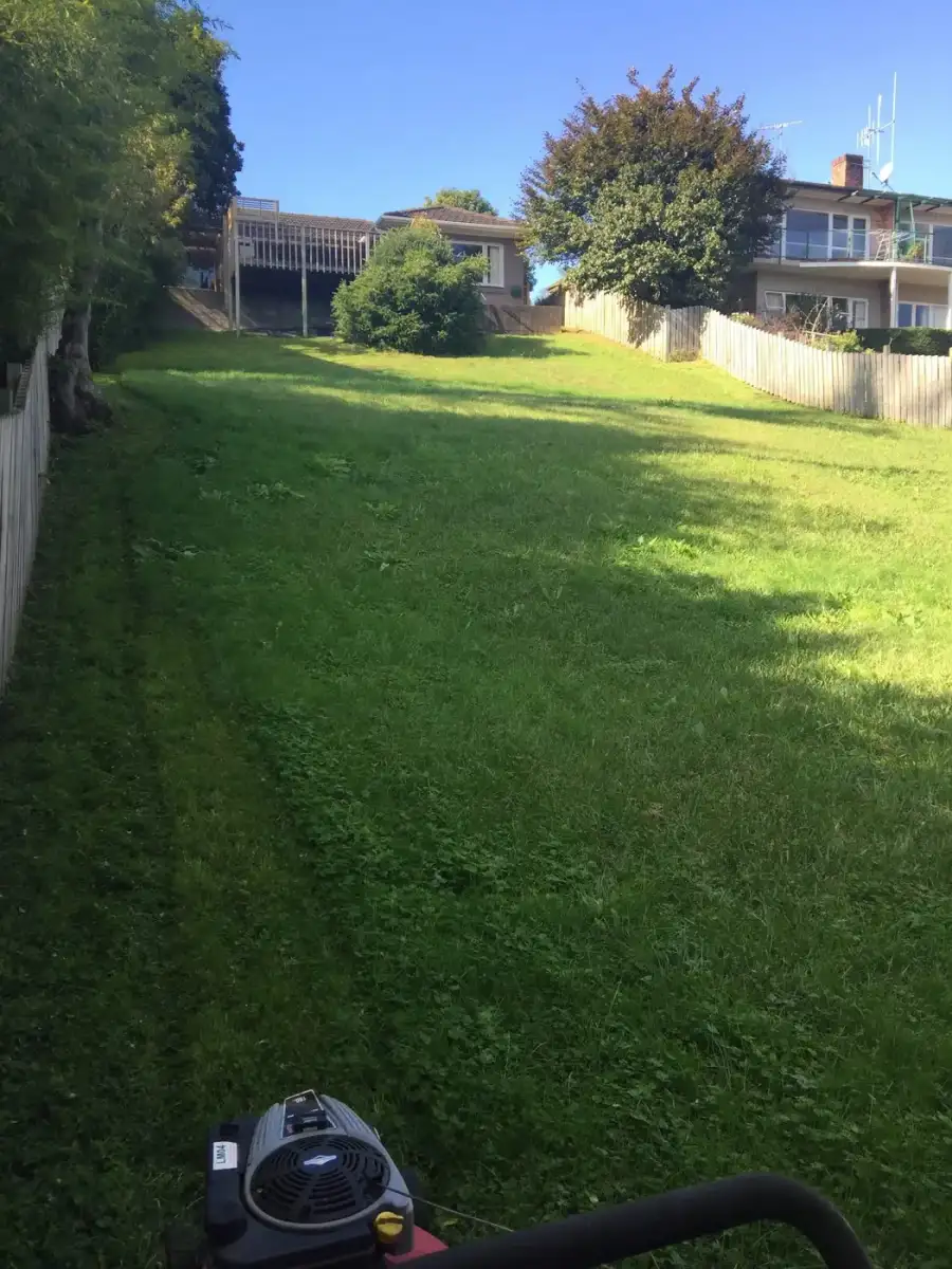 Long freshly mown backyard lawn